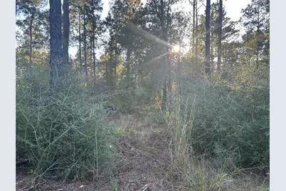 700 Pr 8160, Lovelady, TX 75851 - Photo 11