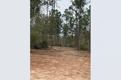 700 Pr 8160, Lovelady, TX 75851 - Photo 33