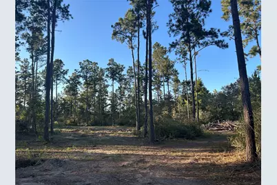 700 Pr 8160, Lovelady, TX 75851 - Photo 15