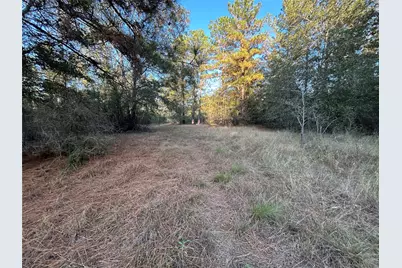 700 Pr 8160, Lovelady, TX 75851 - Photo 1