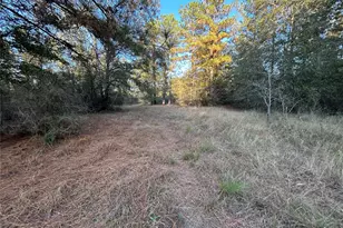 700 Pr 8160, Lovelady, TX 75851 - Photo 1