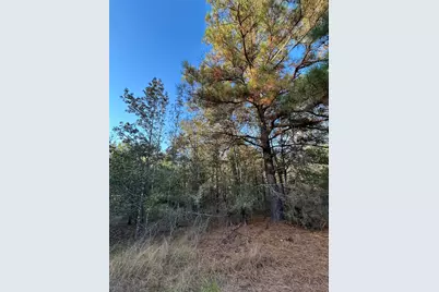 700 Pr 8160, Lovelady, TX 75851 - Photo 7