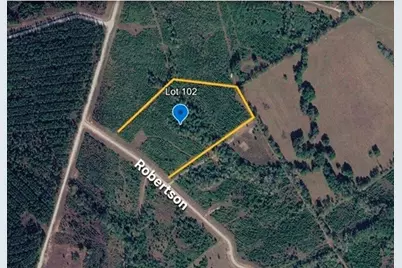 Tract 102 Robertson Road, Lovelady, TX 75851 - Photo 1