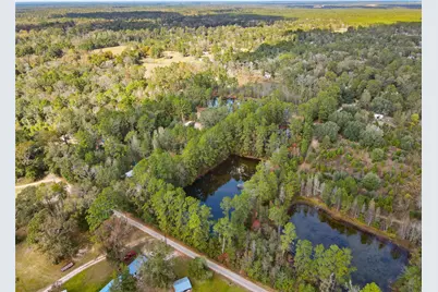 18186 Blackberry Road, Conroe, TX 77306 - Photo 5