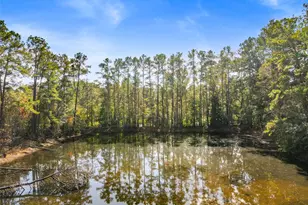 18186 Blackberry Rd, Conroe, TX 77306 - Photo 7