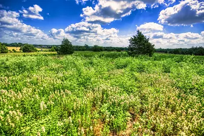 Lot 3 Wonder Hill Road, Chappell Hill, TX 77426 - Photo 7