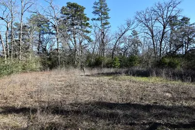 8900 Fm 229, Grapeland, TX 75844 - Photo 7