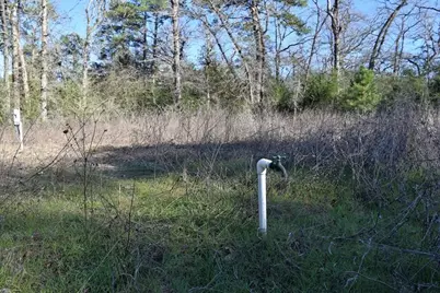 8900 Fm 229, Grapeland, TX 75844 - Photo 3