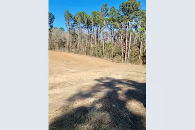 Lot 17 & 18 Old Groveton Road S, Onalaska, TX 77360 - Photo 3