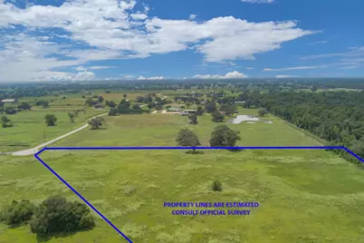 2310 Majestic Oaks Court, Rosharon, TX 77583 - Photo 9