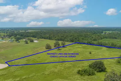 2310 Majestic Oaks Court, Rosharon, TX 77583 - Photo 5