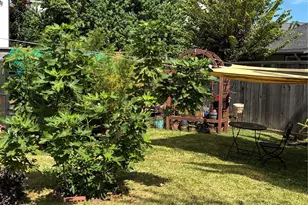 808 Dorothy St, Houston, TX 77007 - Photo 21