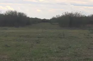 36847 Richard Frey 2-2 Rd, Hempstead, TX 77445 - Photo 17