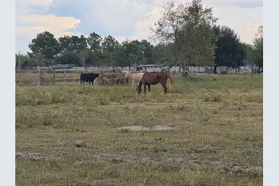 36847 Richard Frey 2-2 Road #2, Hempstead, TX 77445 - Photo 15