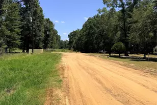 Tbd Wolf Run, Livingston, TX 77351 - Photo 1