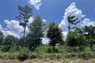 426 Co Rd 1420, Warren, TX 77664 - Photo 1