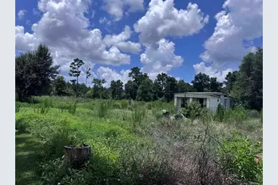426 County Road 1420, Warren, TX 77664 - Photo 9