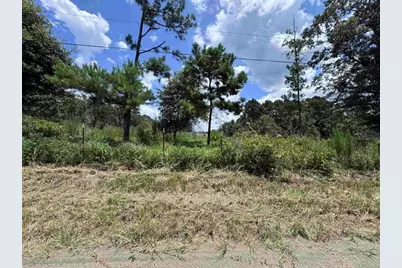 426 County Road 1420, Warren, TX 77664 - Photo 5