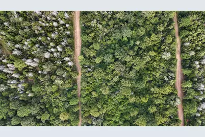 29028 Sandpiper Lane, Prairie View, TX 77445 - Photo 7