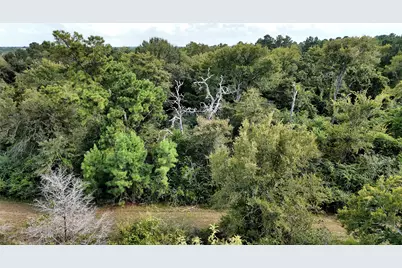 29028 Sandpiper Lane, Prairie View, TX 77445 - Photo 9