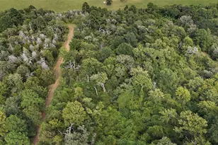 29028 Sandpiper Ln, Prairie View, TX 77445 - Photo 1