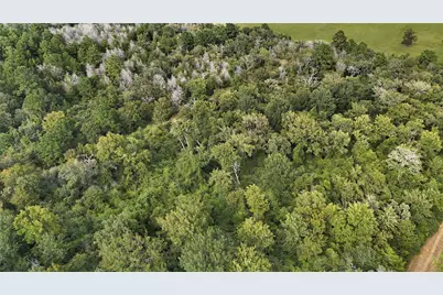 29028 Sandpiper Lane, Prairie View, TX 77445 - Photo 5