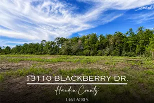 13110 Blackberry Dr, Lumberton, TX 77657 - Photo 1
