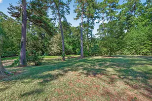 81 N Holly Gln Dr, Point Blank, TX 77364 - Photo 39