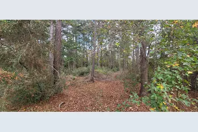 11087 Mills Creek Road, Conroe, TX 77304 - Photo 17