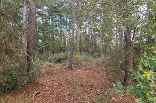 11087 Mills Creek Rd, Conroe, TX 77304 - Photo 17