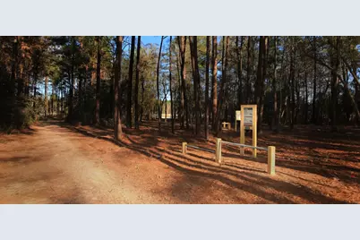 18103 Scarlett Hummingbird Court, Conroe, TX 77302 - Photo 29