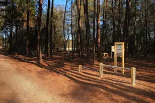 18103 Scarlett Hummingbird Ct, Conroe, TX 77302 - Photo 29