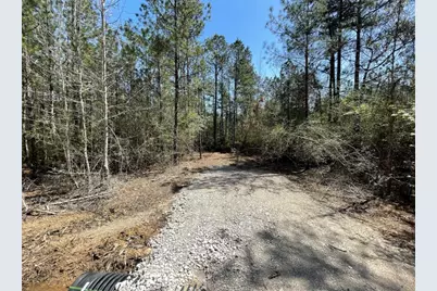 17040 E William Road, Conroe, TX 77303 - Photo 5