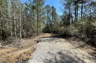 17040 E William Rd, Conroe, TX 77303 - Photo 5