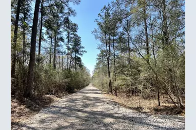 17040 E William Road, Conroe, TX 77303 - Photo 3