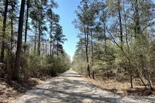 17040 E William Rd, Conroe, TX 77303 - Photo 3