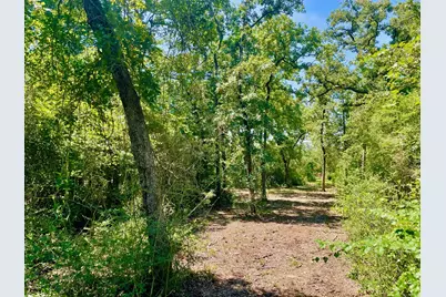 9212 Stetson Drive, Normangee, TX 77871 - Photo 19