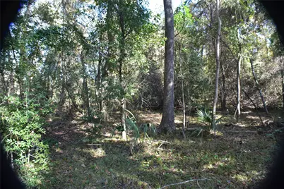 3415 Evergreen Drive, Kingwood, TX 77365 - Photo 21
