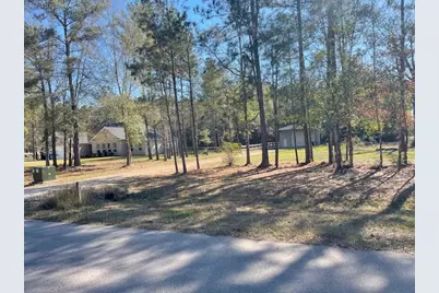 21202 Peach Wood, Cleveland, TX 77328 - Photo 19