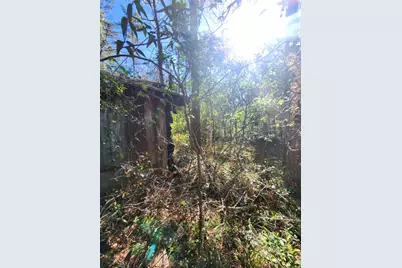 228 Holly Street, Huffman, TX 77336 - Photo 13