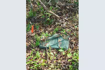 228 Holly Street, Huffman, TX 77336 - Photo 19