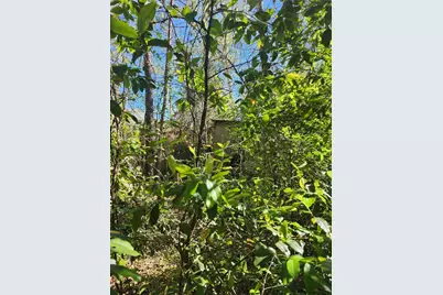 228 Holly Street, Huffman, TX 77336 - Photo 17