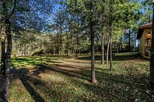 251 Deep Forest Dr, Trinity, TX 75862 - Photo 37