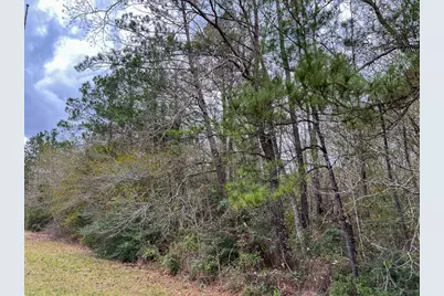 2 Highway 87, Newton, TX 75966 - Photo 5