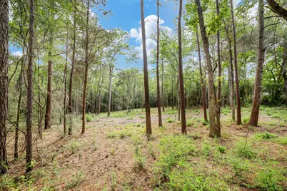 125 Pyrite Court, Huntsville, TX 77340 - Photo 9