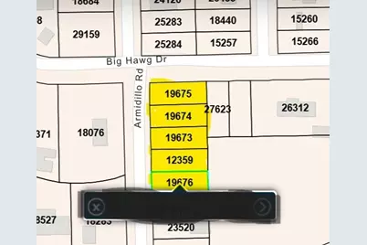 000 Armadillo Drive, Trinity, TX 75862 - Photo 7