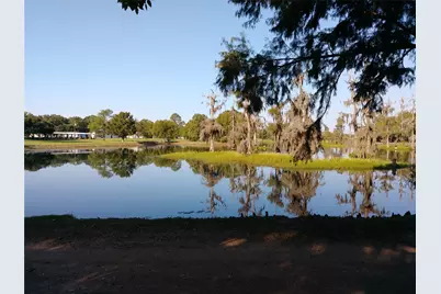 0000 Vickie, Shepherd, TX 77371 - Photo 9