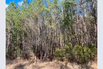 2 Laird Road, Kountze, TX 77625 - Photo 5