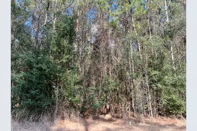 2 Laird Road, Kountze, TX 77625 - Photo 3