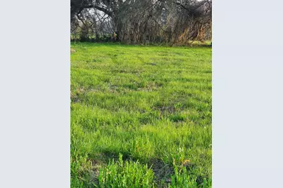 267 / 254 Shetland Court, Angleton, TX 77515 - Photo 5